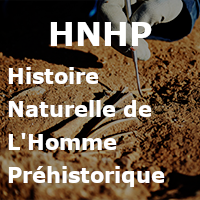 HNHP